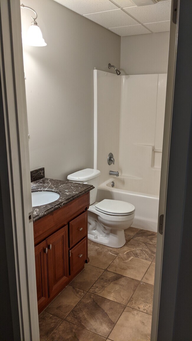 Basement Bathroom - 1120 E 63rd St