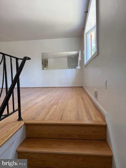 Building Photo - 11307 Trafalgar Ct