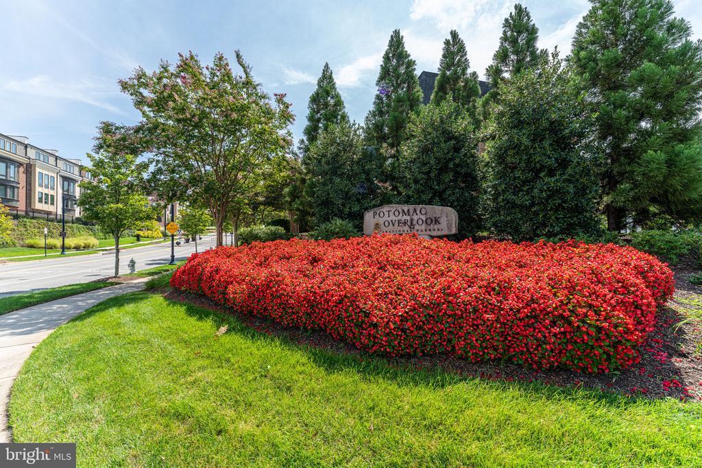 Building Photo - 602 Overlook Park Dr