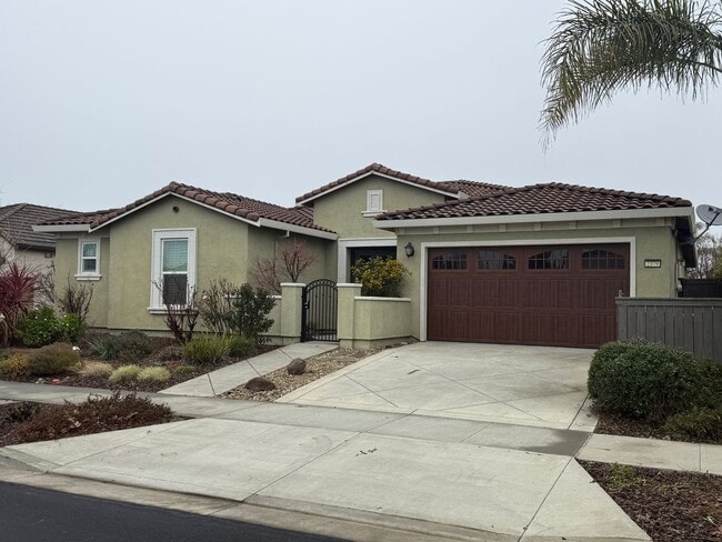 Building Photo - Beautiful Home in Springlake