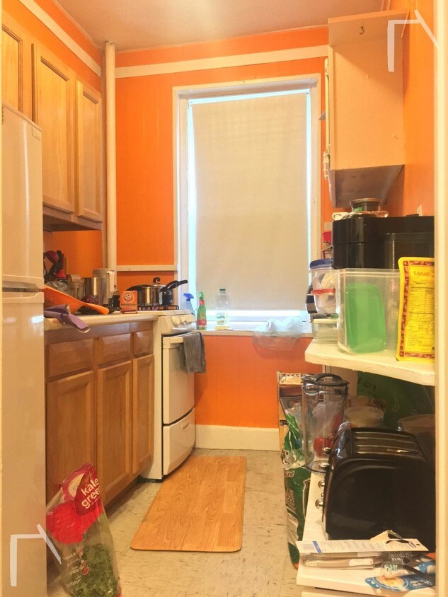 15 Egremont Rd Unit 6, Brighton, MA 02135 Apartment for Rent in Brighton, MA