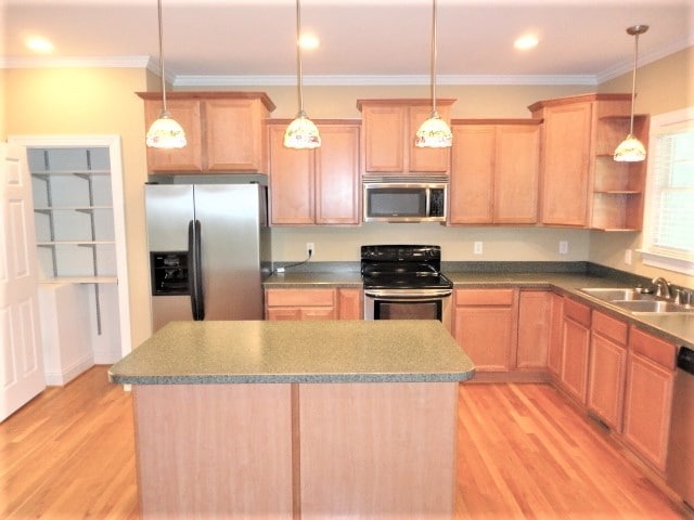 Building Photo - 1737 Peninsula Glen Court