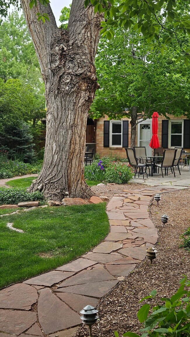 Huge front yard - 2238 Newton St