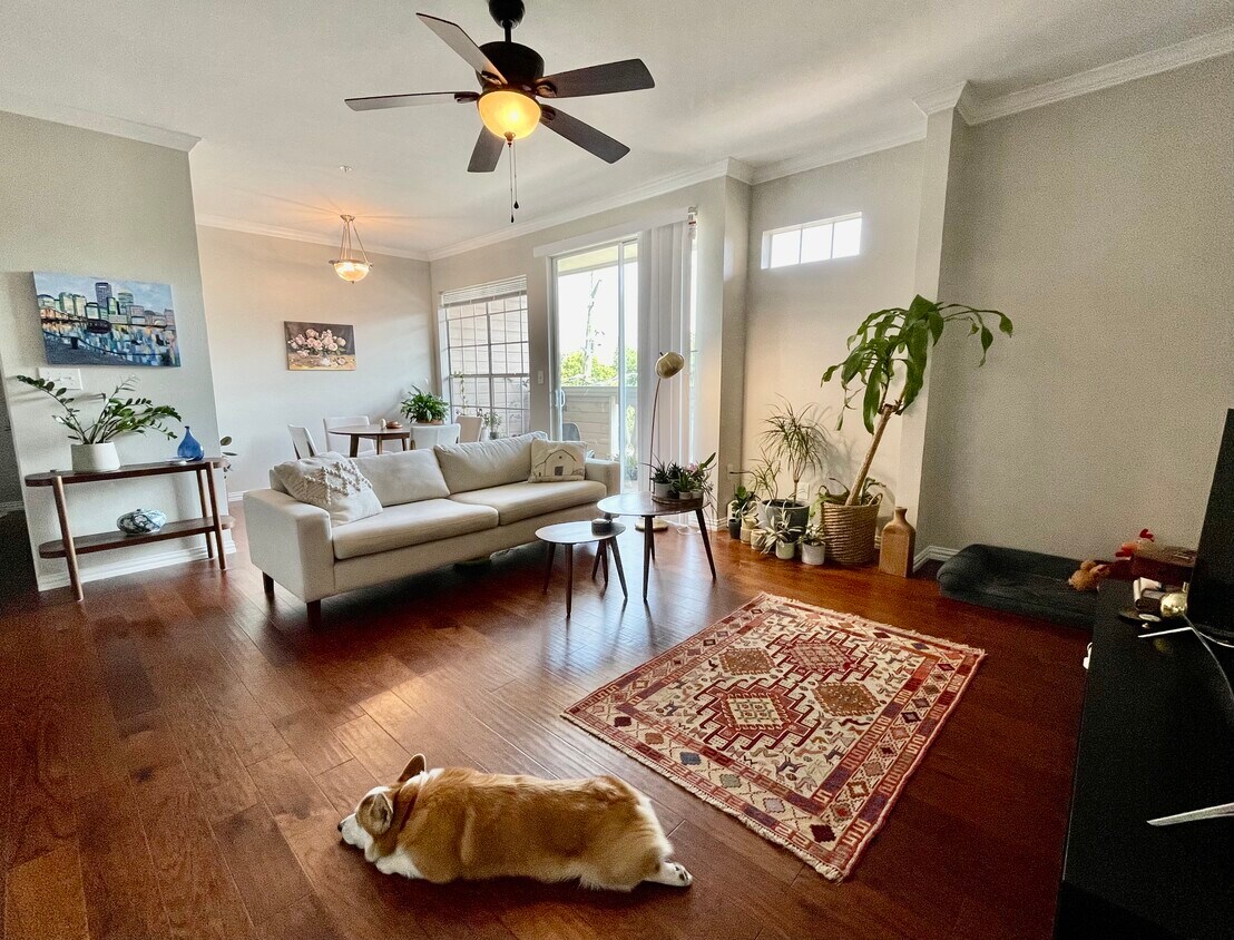 Foto principal - 2111 Welch St