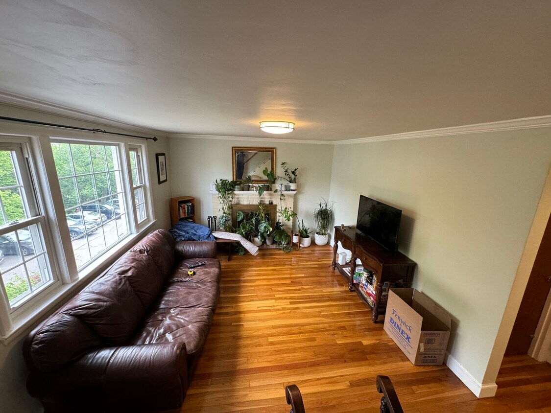 Primary Photo - 12 Bellamy St