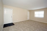 Located at 13220 Chester Road in Newport News, Virginia, this single-floor residence offers a practical and comfortable layout designed for everyday living. The spacious living area is finished with plush wall-to-wall carpeting and warm neutral-toned walls, with multiple windows that invite generous natural light and views of surrounding greenery. The front entry opens into this generous open area, which provides ample room for a variety of furniture arrangements.

The kitchen is efficiently designed with crisp white cabinetry, dark granite-style countertops, a double-basin sink, and durable wood-look plank flooring. Black appliances, including a refrigerator and range, complement the cabinetry, and a dishwasher adds everyday convenience. Overhead lighting keeps the space bright and functional.

The bedrooms are well-sized, each featuring soft carpeting, neutral walls, and windows that offer natural light and outdoor views. One bedroom includes a closet with a rod and shelving, providing organized storage. The bathroom is clean and functional, equipped with a full tub-and-shower combination featuring white tile surround and chrome fixtures. HVAC vents are present throughout the unit, ensuring year-round climate control. The overall aesthetic is clean, move-in ready, and well-maintained.