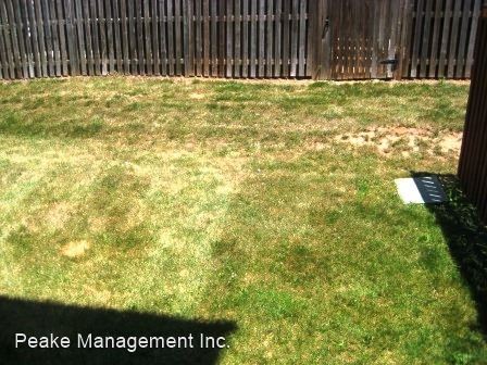 Building Photo - 3 br, 2.5 bath House - 13510 Nickleback Ct.
