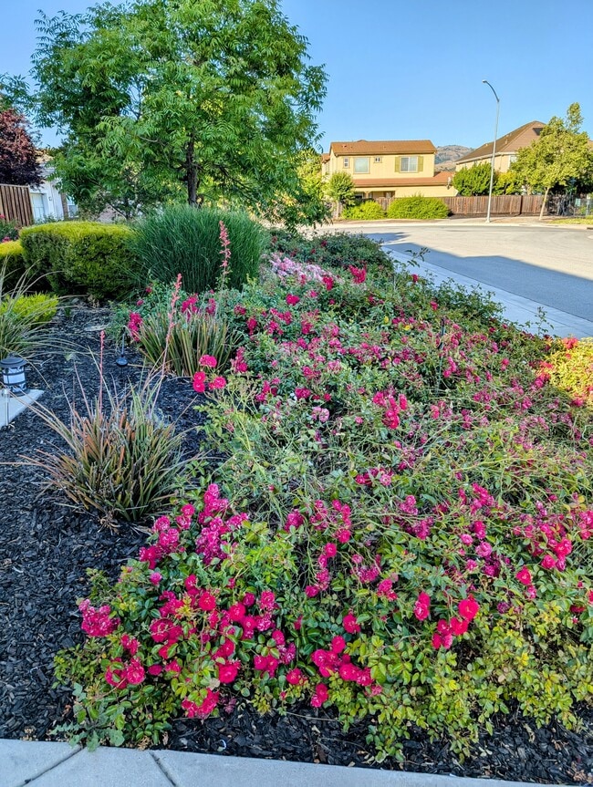 Cul de Sac - 16650 San Gabriel Ct