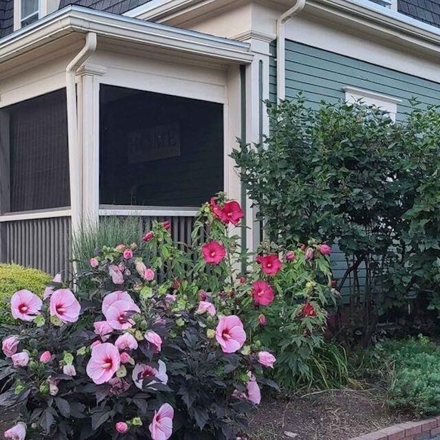 Building Photo - 124 Pond Rd
