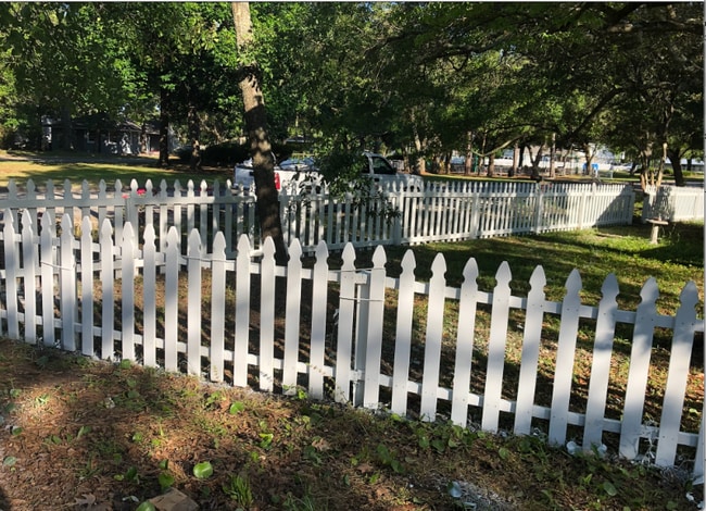 Photo - 709 Collins St House