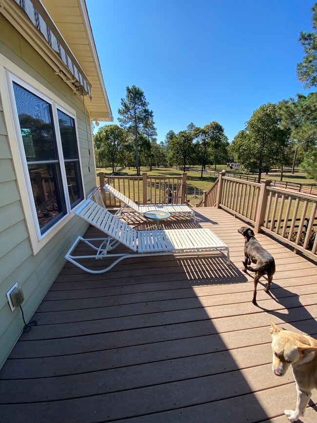 Otra vista de la cubierta - 970 Shell Bluff Dr