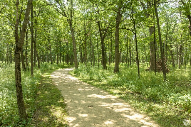 The 543-acre Old School Forest Preserve is home to over 4 miles of trails.