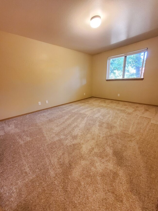 Interior Photo - Spacious 2 Bedroom 1 Bath Unit