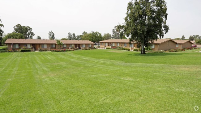 Building Photo - The Terrace Apartments