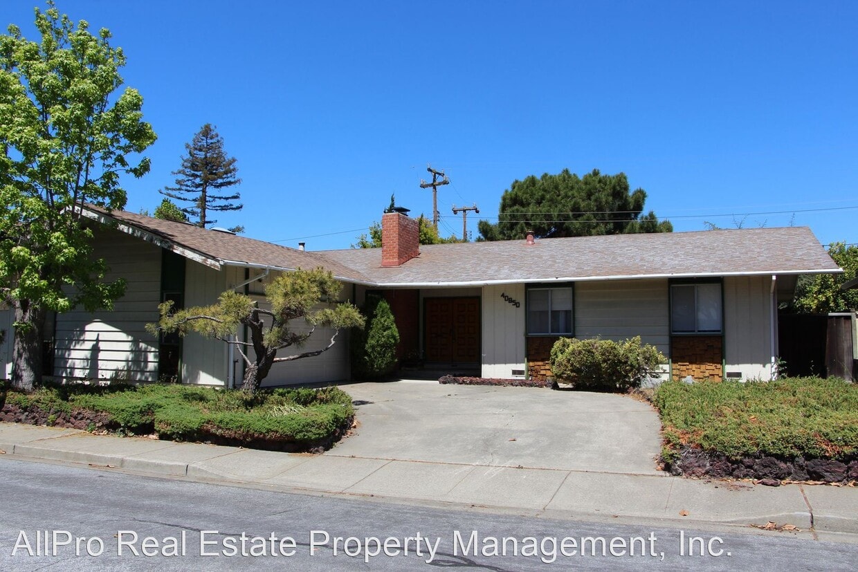 Primary Photo - 3 br, 2 bath House - 40850 Capa Dr