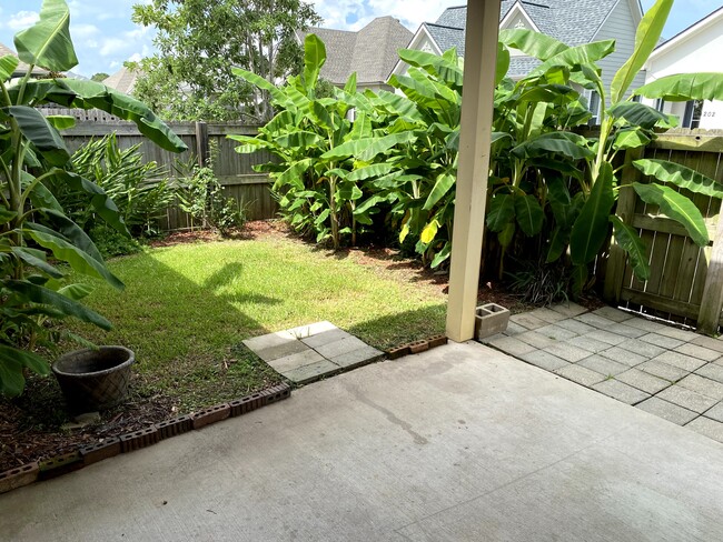 Back Courtyard with Gate - 127 Laurel Grove Blvd