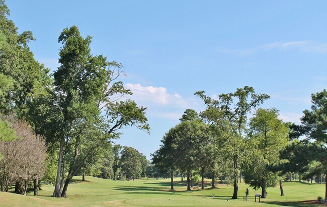 Foto del edificio - Golf Course Lot!! 4-Bedroom Home in Cypress Point!! Fenced Backyard & Dog Friendly!