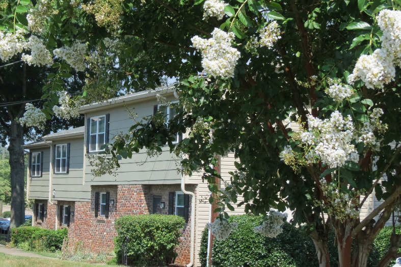 Primary Photo - Deane Hill Apartments