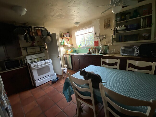 Kitchen - 906 Crestwood Ter