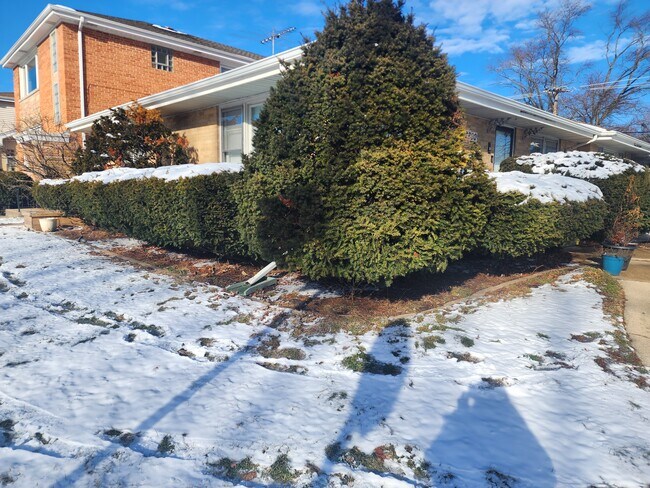 Foto del edificio - 2800 Manor Ln