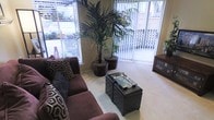 This single-floor living space offers a welcoming and well-lit atmosphere, centered around a comfortable seating area anchored by a plush, dark burgundy sofa adorned with decorative pillows. The room is carpeted in a light neutral tone, contributing to the overall warmth of the space. Two large potted palm trees serve as striking natural focal points, adding a lush, tropical character to the interior. Abundant natural light floods the room through oversized windows fitted with horizontal blinds and vertical blinds flanking what appears to be a sliding glass door, offering views of an outdoor area with surrounding greenery and what appears to be a neighboring structure. The sliding door access suggests a patio or balcony just beyond, enhancing the indoor-outdoor connection. A pair of dark wicker ottoman cubes topped with a decorative tray serve as a functional and stylish coffee table arrangement. An entertainment unit is visible along the right wall, adding practicality to the space. The overall ambiance is relaxed yet thoughtfully curated, blending natural elements with comfortable furnishings to create an inviting living environment.