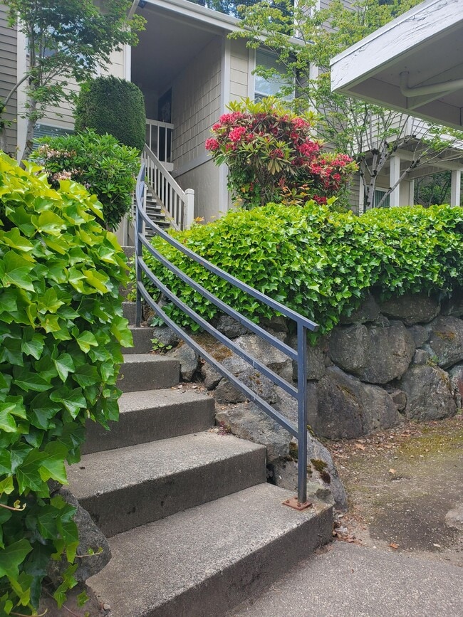 Walkway - Campus View