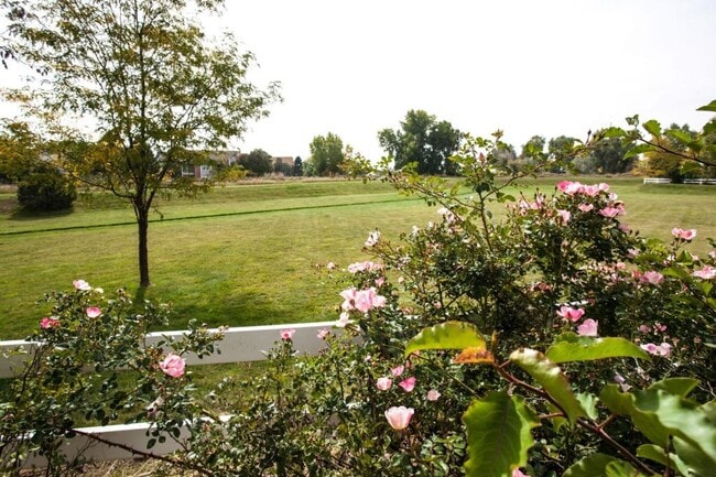 Photo - 2362 Calcite St House