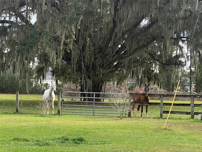 Building Photo - 7115 SW 80th Ave