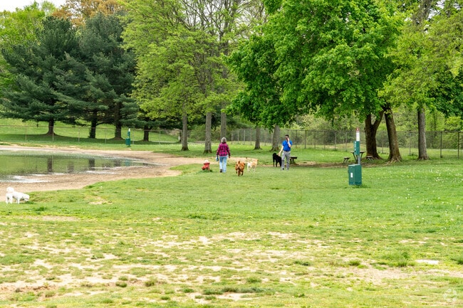 Residents of Stow take their dogs to Bow Wow Beach Dog Park.