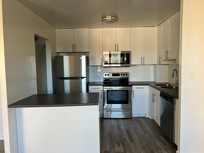 Photo du bâtiment - Newly Renovated 3 bedroom - Utilities Included -152 Thorold