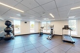 Located on Monroe Street in Santa Clara, California, this single-floor fitness center offers a comprehensive workout environment designed for functionality and comfort. The space is organized across interconnected open areas, all finished with durable dark rubber tile flooring and drop ceilings fitted with recessed linear LED lighting for consistent illumination throughout.

The cardio section features multiple treadmills, upright stationary bikes, and elliptical trainers positioned near large windows that invite abundant natural light and provide views of the surrounding outdoor greenery. A dedicated free weights and stretching area is equipped with a full-length wall mirror, a rack of medicine balls and stability balls, and a dumbbell rack, offering ample room for functional training and floor exercises.

A separate zone houses a multi-function cable resistance machine set against a visually striking geometric accent wall featuring a bold pattern in blue, yellow, and gray—adding an energetic design element to the otherwise clean, neutral interior. Additional storage cubbies and utility fixtures are also present. The overall ambiance is bright, modern, and purposefully designed to support a well-rounded fitness routine.
