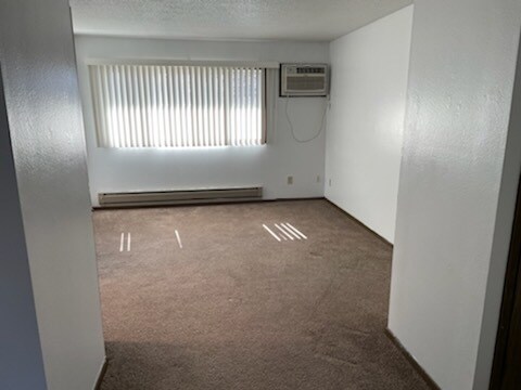 Living Room - 220 S Chestnut St