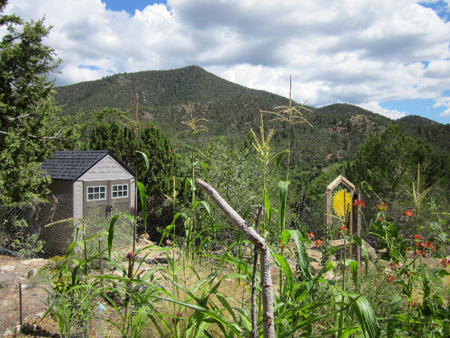 Building Photo - 1677 Cerro Gordo Rd