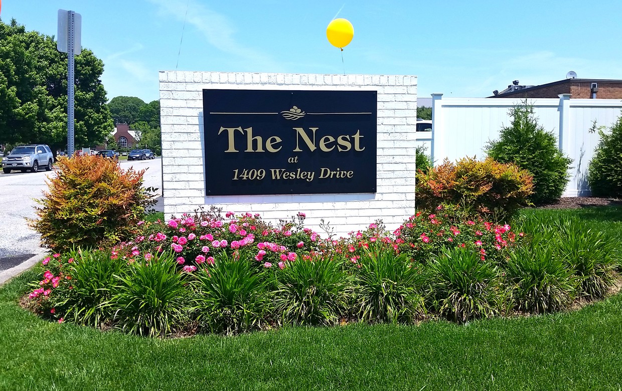 Primary Photo - The Nest Student Housing