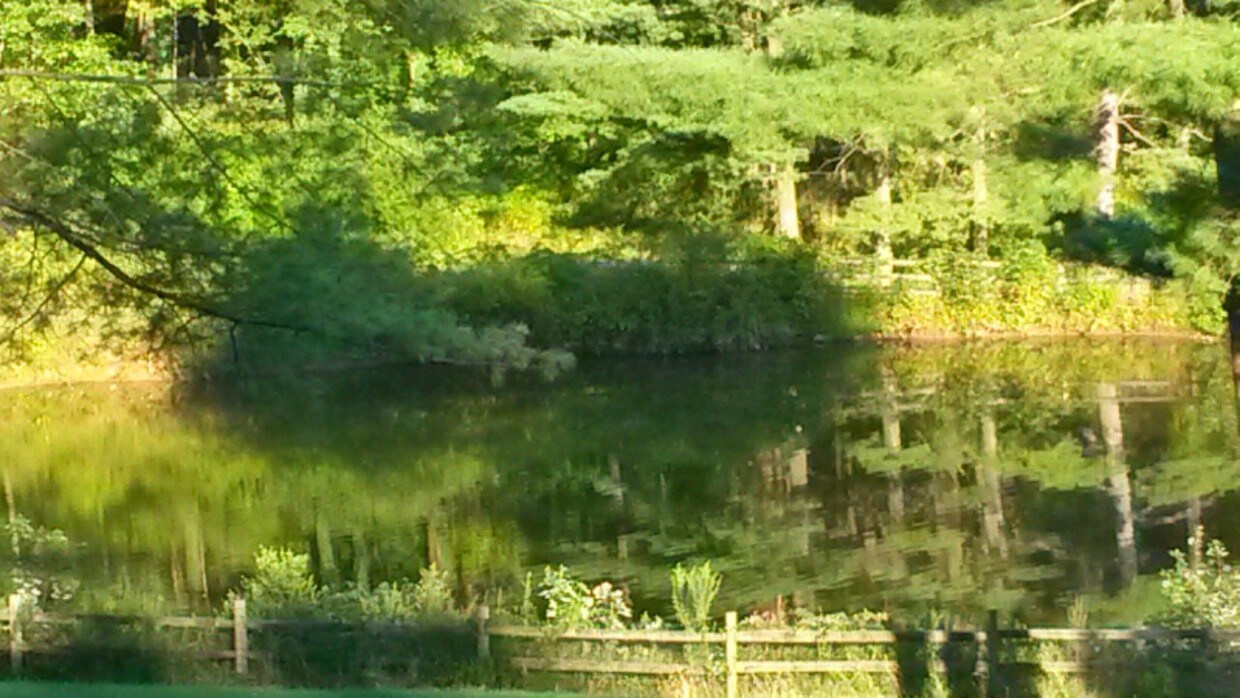 540 Rugby Rd, Birdsboro, PA 19508 Apartments in Birdsboro, PA