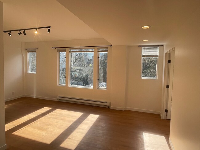 Sunny living room with high ceilings & view of tree-lined street - 2700 4th Ave