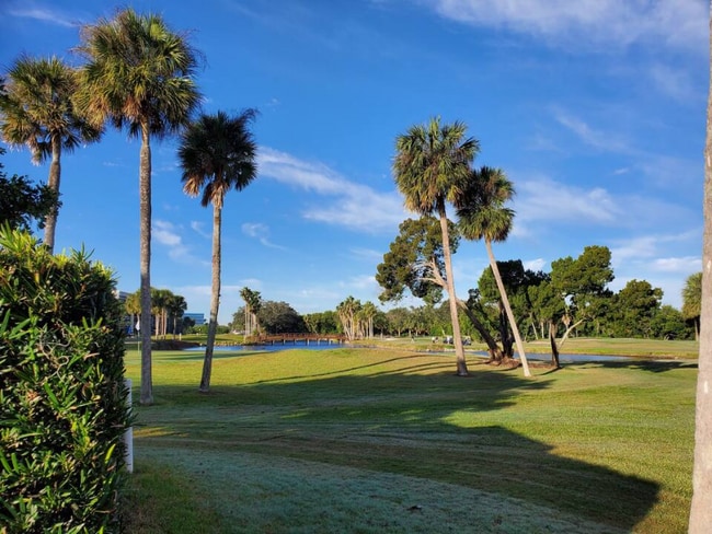 Photo - 2618 Cove Cay Dr Apartment