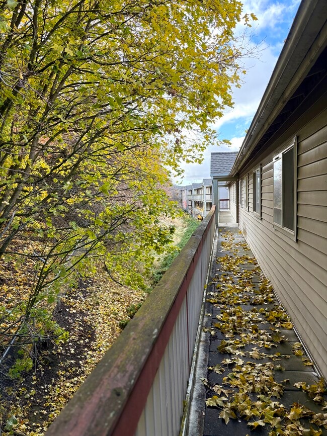 Building Photo - OUTLOOK APTS