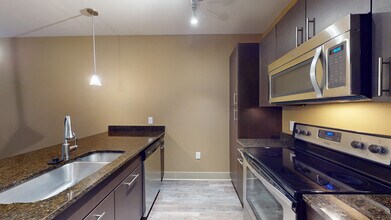 Interior Photo - Domain College Park