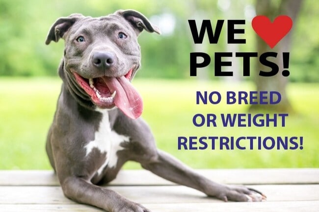 Building Photo - The Solera at Kendall West