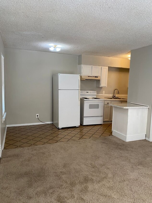 SOUTH PARK APARTMENTS - SOUTH PARK APARTMENTS