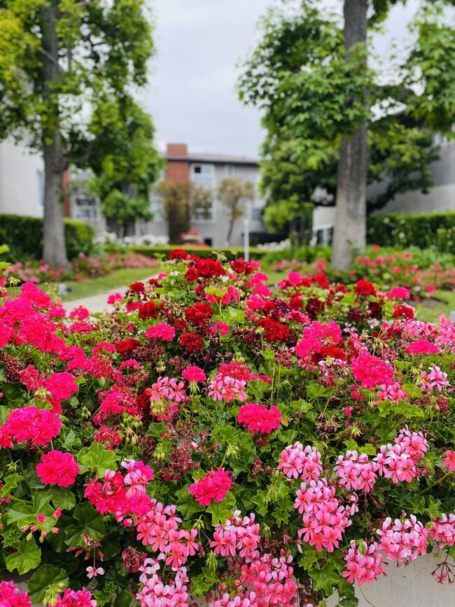Foto del edificio - Crepe Myrtle Apartments