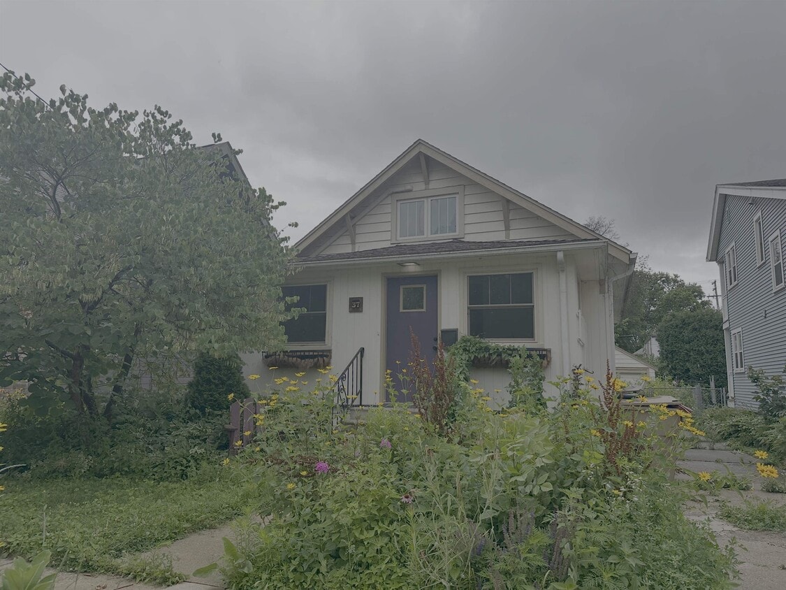 Primary Photo - 37 Corry St