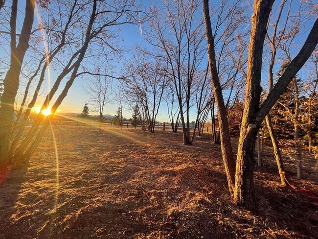 Foto del edificio - 5 Acre Ranch 3bed/2bth home with amazing v...