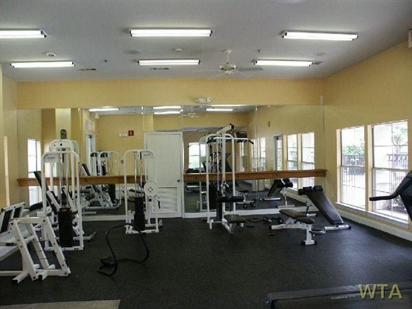 11900 Hobby Horse Ct Austin TX 78758 Condo for Rent in Austin TX 11900 Hobby Horse Ct Austin TX 78758 Condo for Rent in Austin TX