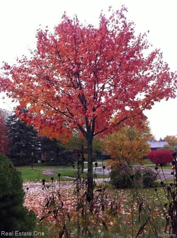 Building Photo - 5837 Folkstone Dr