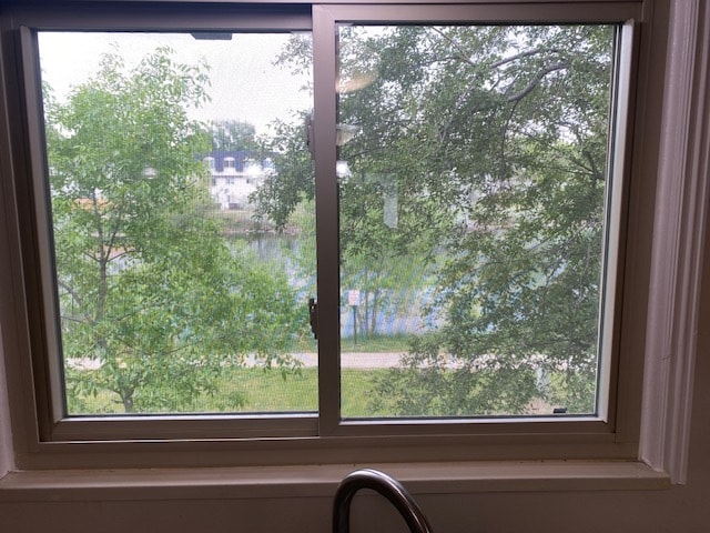Window above sink - 411 E Highline Cir