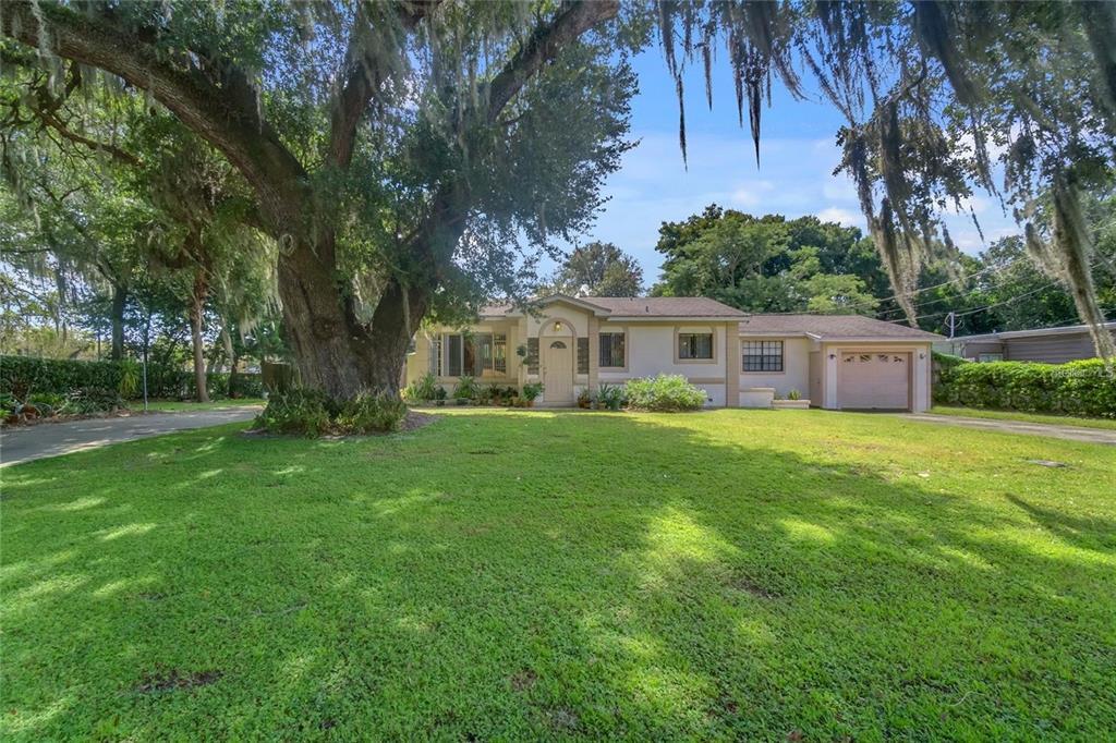 Primary Photo - 270 W Pineloch Ave