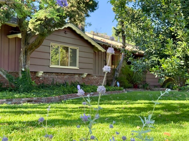 Building Photo - 2290 Canonita Dr