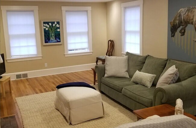 living room with lots of light - 211 Elm St